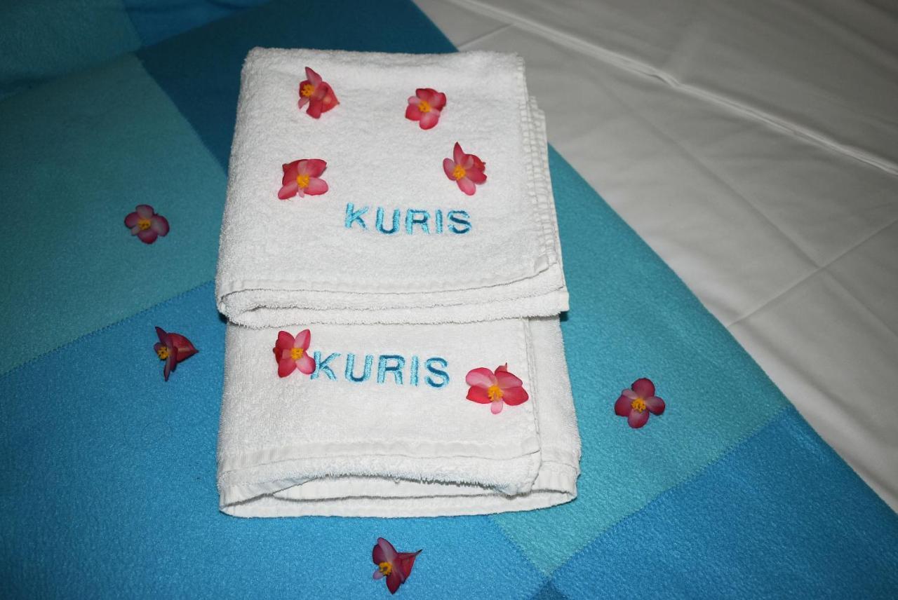 Kuris Studios & Apartments Vasilikos  Bagian luar foto