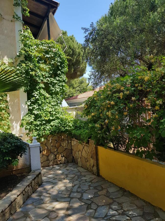 Kuris Studios & Apartments Vasilikos  Bagian luar foto