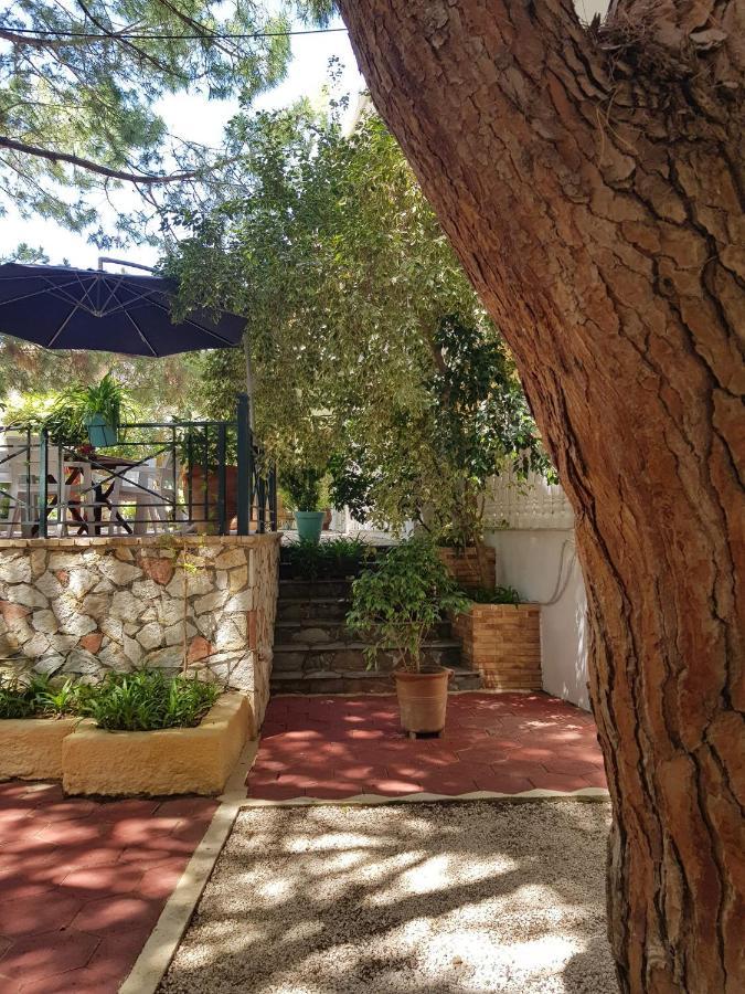 Kuris Studios & Apartments Vasilikos  Bagian luar foto