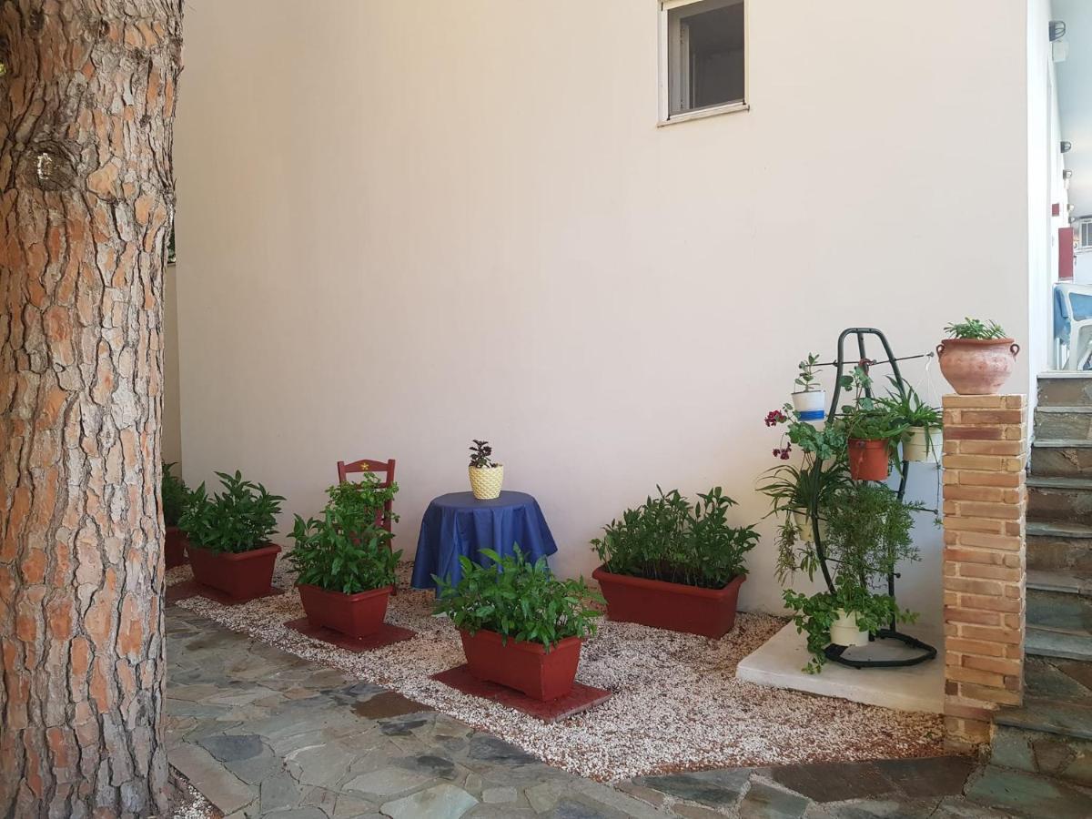 Kuris Studios & Apartments Vasilikos  Bagian luar foto